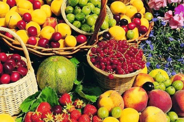 Hainan Free Trade Port Boosts Tropical Agri Exports Hainan_Free_Trade_Port_Boosts_Tropical_Agri_Exports