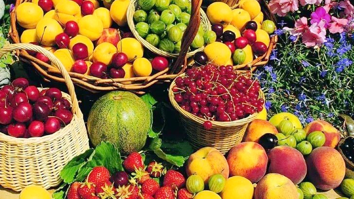 Hainan_Free_Trade_Port_Boosts_Tropical_Agri_Exports - News for amigos, by amigos Hainan_Free_Trade_Port_Boosts_Tropical_Agri_Exports