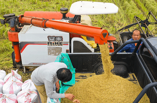 How the Chinese mainland Tackles Food Security and Impacts the World How_the_Chinese_mainland_Tackles_Food_Security_and_Impacts_the_World