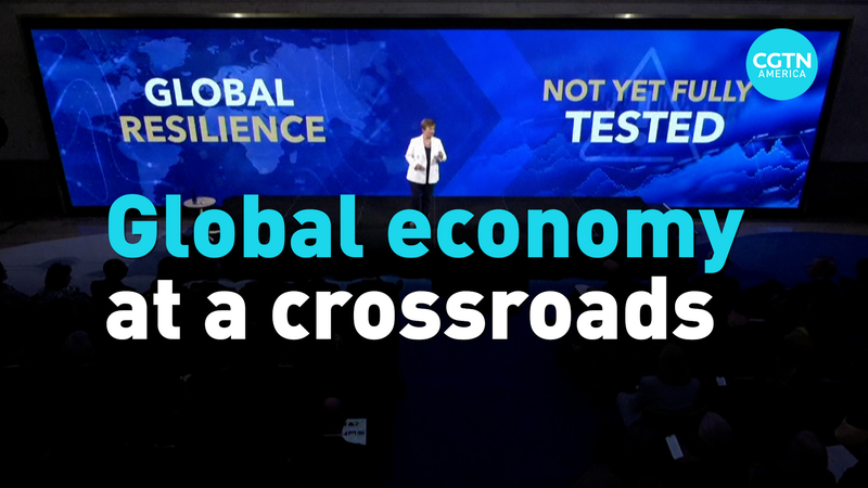 IMF: Global Economy Holding Strong Amid Tariffs, But Brace for Uncertainty IMF__Global_Economy_Holding_Strong_Amid_Tariffs__But_Brace_for_Uncertainty video poster