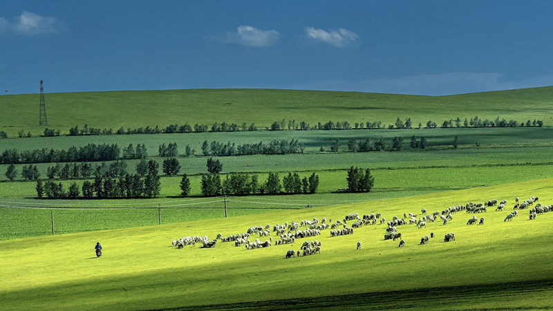 Intensifying Droughts May Wreck Grasslands Worldwide Intensifying_Droughts_May_Wreck_Grasslands_Worldwide