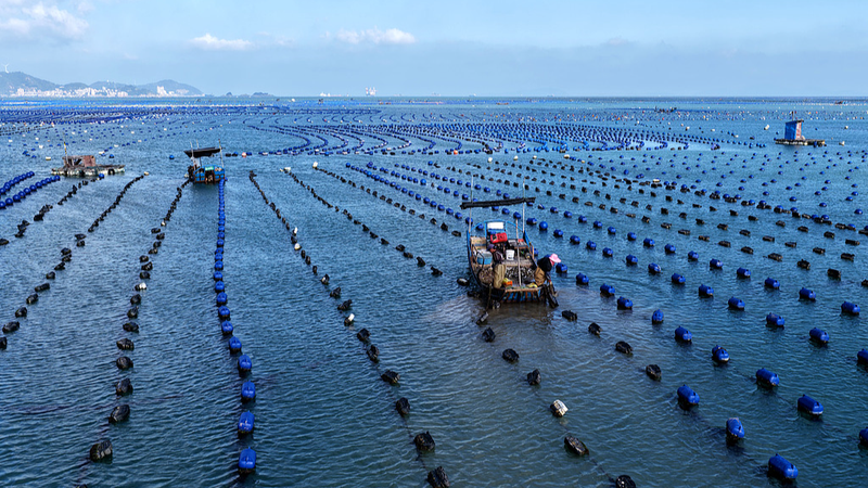 J981UI5E3FMLR4AAIB3C - News for amigos, by amigos The Chinese Mainland’s Maritime Courts Are the World’s Most Comprehensive