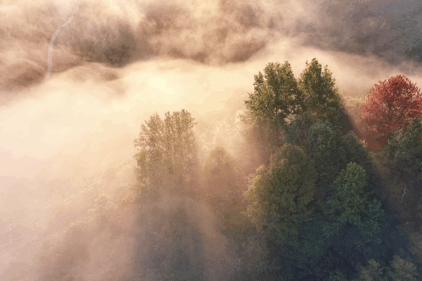 Jingde County’s Green Oasis: A Living Lung in East China Jingde_County_s_Green_Oasis__A_Living_Lung_in_East_China video poster