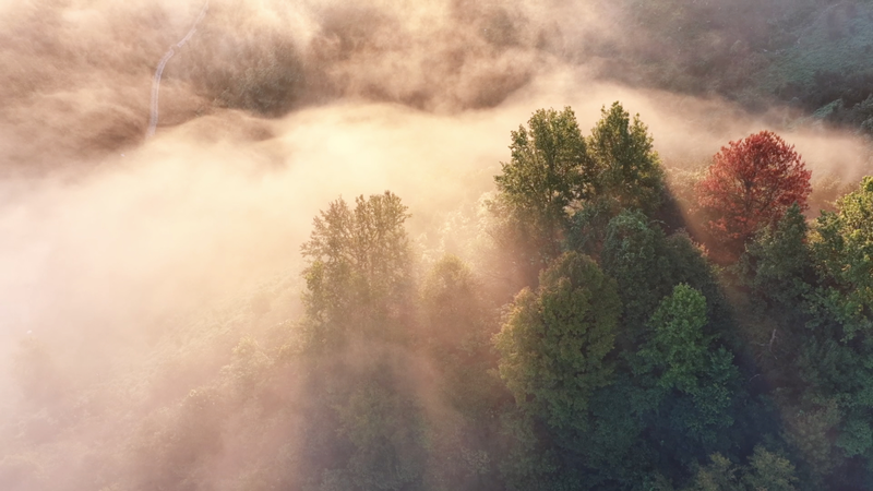 Jingde_County_s_Green_Oasis__A_Living_Lung_in_East_China video poster