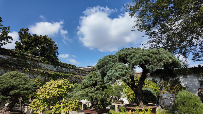 Journey_Through_Suzhou_Museum___Humble_Administrator_s_Garden - News for amigos, by amigos Journey_Through_Suzhou_Museum___Humble_Administrator_s_Garden