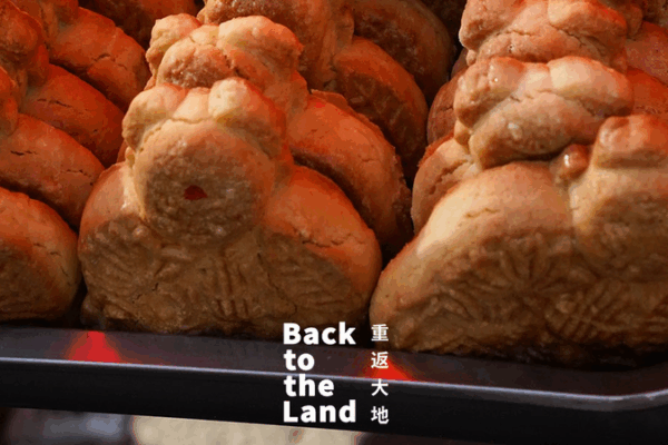 Xinghe Market: Vibrant Pulse of Inner Mongolia’s Grasslands Xinghe Market: Vibrant Pulse of Inner Mongolia’s Grasslands