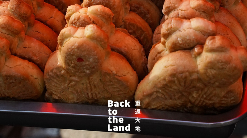 Xinghe Market: Vibrant Pulse of Inner Mongolia’s Grasslands