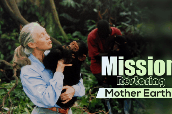 Legendary Primatologist Jane Goodall Dies at 91 Legendary_Primatologist_Jane_Goodall_Dies_at_91 video poster