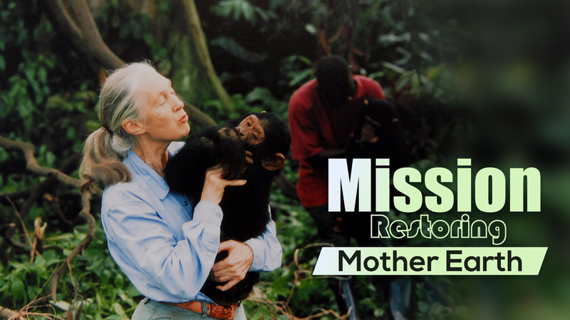 Legendary_Primatologist_Jane_Goodall_Dies_at_91_poster - News for amigos, by amigos Legendary_Primatologist_Jane_Goodall_Dies_at_91 video poster