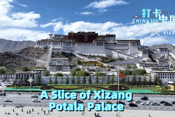Lhasa Locals Reveal Their First Impressions of the Potala Palace Lhasa_Locals_Reveal_Their_First_Impressions_of_the_Potala_Palace video poster