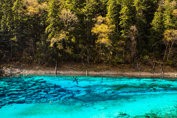 Magical Five-Color Lake in Jiuzhaigou: A Rainbow at 3,000m Magical_Five_Color_Lake_in_Jiuzhaigou__A_Rainbow_at_3_000m video poster