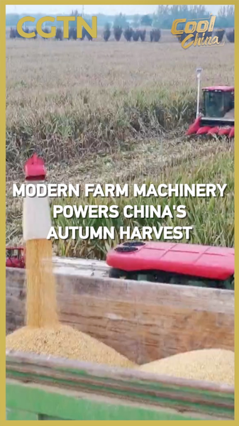 Modern Machinery Fuels Chinese Mainland’s Autumn Harvest Modern_Machinery_Fuels_Chinese_Mainland_s_Autumn_Harvest video poster