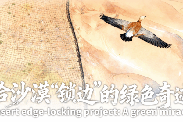 Ningxia’s Green Miracle: 153km Desert Shield Stops the Tengger’s March Ningxia_s_Green_Miracle__153km_Desert_Shield_Stops_the_Tengger_s_March