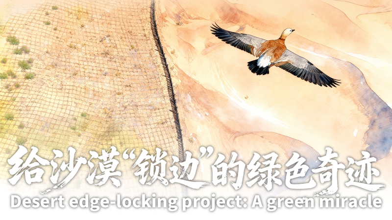 Ningxia_s_Green_Miracle__153km_Desert_Shield_Stops_the_Tengger_s_March