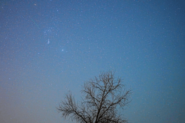 Orionid Meteor Shower Lights Up Autumn Skies Orionid_Meteor_Shower_Lights_Up_Autumn_Skies