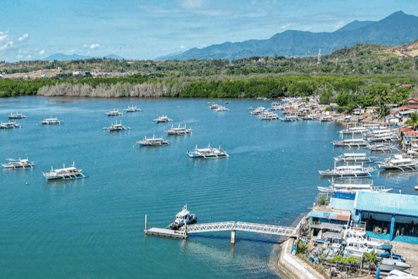 Philippines resumes e-visa for Chinese mainland travelers in November Philippines_resumes_e_visa_for_Chinese_mainland_travelers_in_November