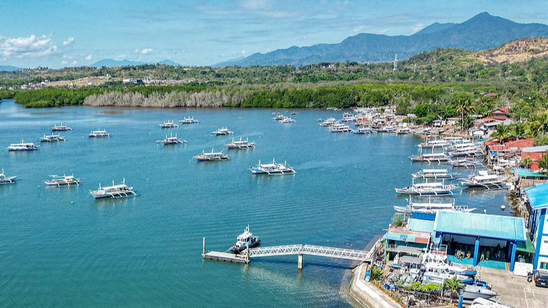 Philippines_resumes_e_visa_for_Chinese_mainland_travelers_in_November