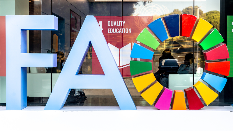 President_Xi_Congratulates_FAO_on_80th_Anniversary