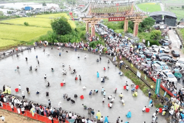 Jiangxi’s Yinhe Town Celebrates Harvest Fun This National Day Jiangxi’s Yinhe Town Celebrates Harvest Fun This National Day video poster