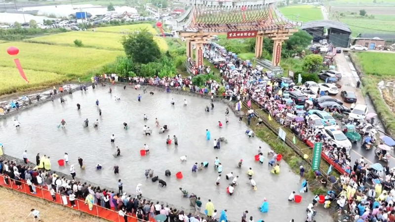 QPAIH6C4Y706GTY5LKV6 - News for amigos, by amigos Jiangxi’s Yinhe Town Celebrates Harvest Fun This National Day video poster