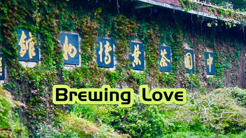 RPJRLL1XKWKVBXN3RZKG - News for amigos, by amigos U.S. Officials Swap Coffee for Tea at China National Tea Museum 🍵 video poster