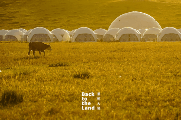 Ulanqab Grasslands: A Living Symphony of Herds in the Chinese mainland’s Steppe Ulanqab Grasslands: A Living Symphony of Herds in the Chinese mainland’s Steppe