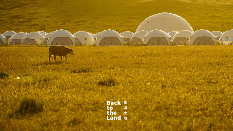 RUXRKKXG9PFYOQY6VT90 - News for amigos, by amigos Ulanqab Grasslands: A Living Symphony of Herds in the Chinese mainland’s Steppe