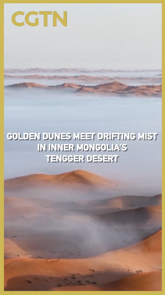 Rain and Mist Transform Tengger Desert into an Ethereal Golden Sea Rain_and_Mist_Transform_Tengger_Desert_into_an_Ethereal_Golden_Sea video poster
