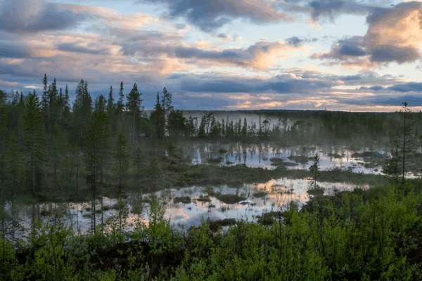Russia’s 1st Arctic Forest-Climate Project Kicks Off Russia_s_1st_Arctic_Forest_Climate_Project_Kicks_Off