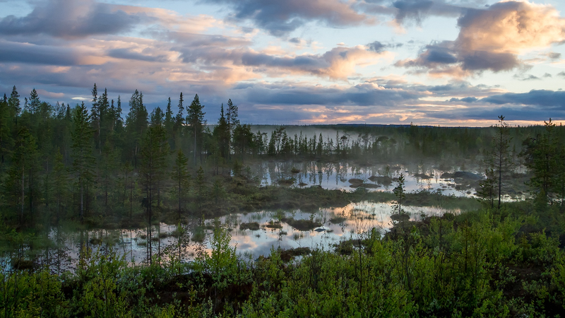 Russia_s_1st_Arctic_Forest_Climate_Project_Kicks_Off - News for amigos, by amigos Russia_s_1st_Arctic_Forest_Climate_Project_Kicks_Off