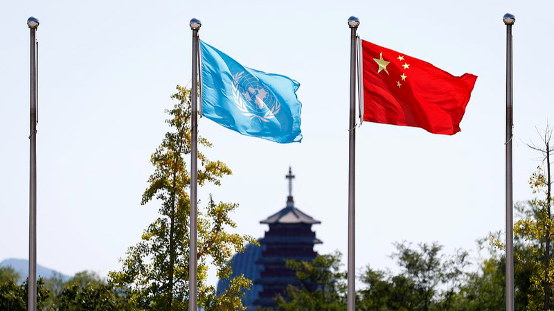 SZSGOP20DV4X68SZHQUD - News for amigos, by amigos UN at 80: China’s Role in Global Humanitarian Aid