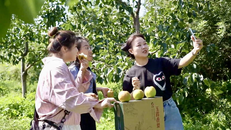 Shanxi_s_Yulu_Pear_Boom__Live_Streams_Sweeten_Farmers__Profits video poster