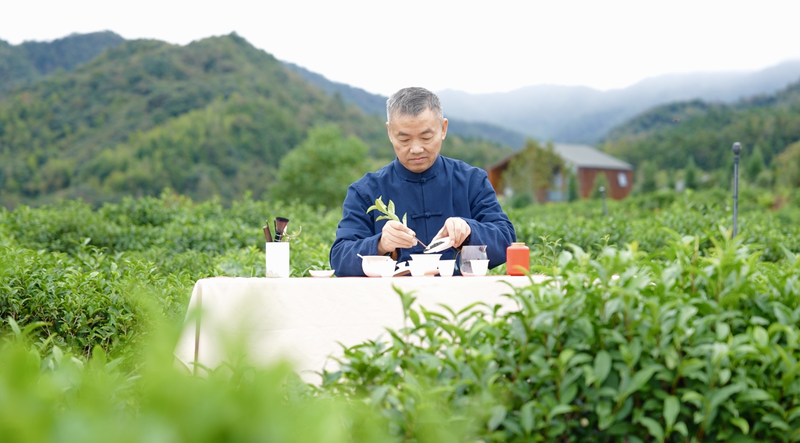 Sip History: Keemun Black Tea’s Timeless Aroma Sip_History__Keemun_Black_Tea_s_Timeless_Aroma