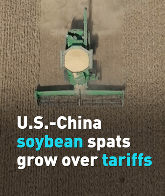 Soybean Showdown: U.S. Farmers Feel the Bite of Chinese Mainland Tariffs Soybean_Showdown__U_S__Farmers_Feel_the_Bite_of_Chinese_Mainland_Tariffs video poster