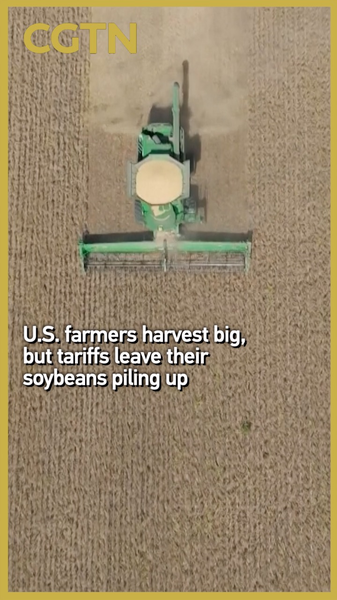 Tariff_Troubles__US_Soybeans_Piling_Up_Amid_Global_Shift video poster