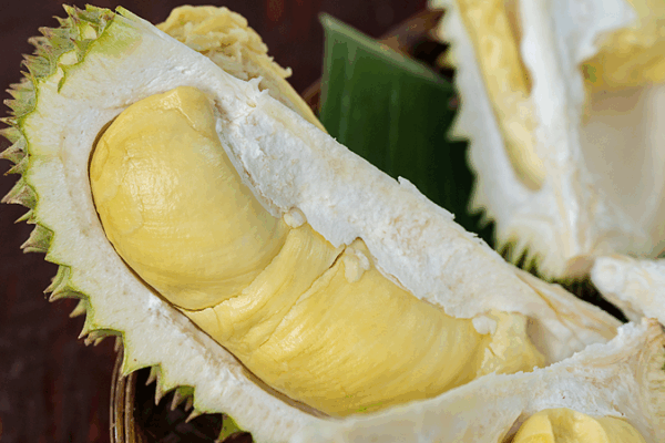 Thai Durian’s Digital Journey to the Chinese Mainland: How IoT & eCommerce Spark a Boom Thai_Durian_s_Digital_Journey_to_the_Chinese_Mainland__How_IoT___eCommerce_Spark_a_Boom