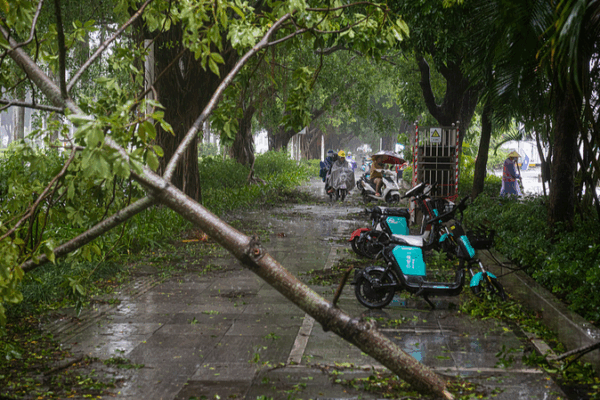 Typhoon Matmo Downgrades After Guangxi Landfall, Relief Efforts Underway Typhoon_Matmo_Downgrades_After_Guangxi_Landfall__Relief_Efforts_Underway