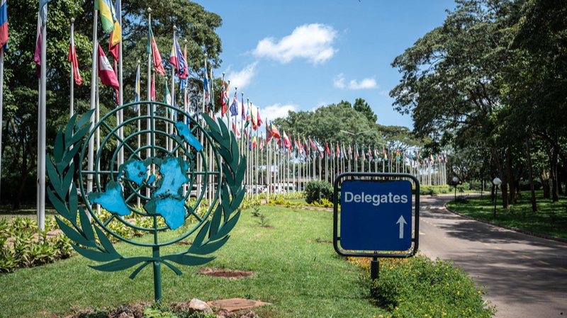 UN & GGI: Driving Global Environmental Governance UN___GGI__Driving_Global_Environmental_Governance
