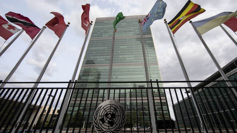 UN at 80: Facing Crisis or Poised for a Renaissance? UN_at_80__Facing_Crisis_or_Poised_for_a_Renaissance_
