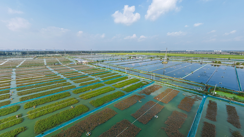 UN_report__Chinese_mainland_makes_major_SDG_strides - News for amigos, by amigos UN_report__Chinese_mainland_makes_major_SDG_strides