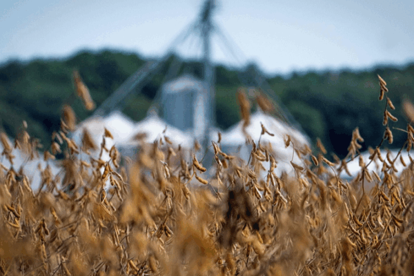 US Farmers Hit by Shutdown and Tariff Double Whammy US_Farmers_Hit_by_Shutdown_and_Tariff_Double_Whammy