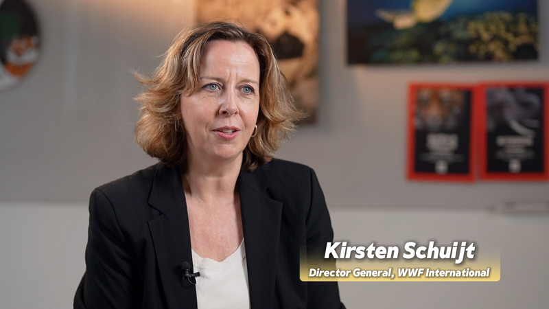 V6SGUS4UJF897LZOJ7WC - News for amigos, by amigos WWF Chief Calls Chinese Mainland’s ‘Two Mountains’ a Global Green Growth Blueprint video poster