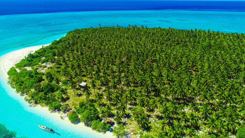 Wakatobi National Park: Indonesia’s Marine Gem Shines in APEC Stories Wakatobi_National_Park__Indonesia_s_Marine_Gem_Shines_in_APEC_Stories