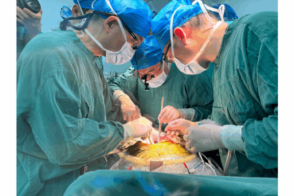 World’s First Gene-Edited Pig Liver Transplant Survives 171 Days World_s_First_Gene_Edited_Pig_Liver_Transplant_Survives_171_Days