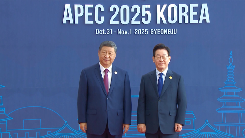 Xi_and_ROK_Leader_Lee_Shake_Hands_at_Gyeongju_APEC_Meeting_poster - News for amigos, by amigos Xi_and_ROK_Leader_Lee_Shake_Hands_at_Gyeongju_APEC_Meeting video poster