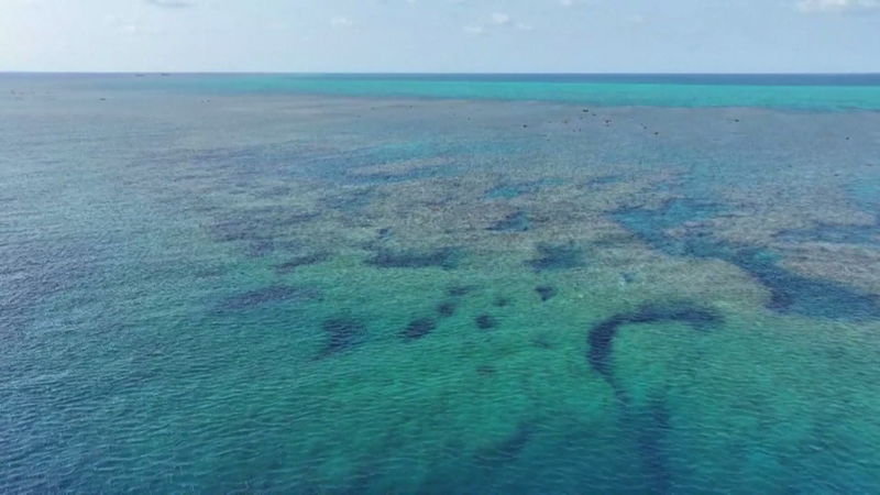 2025_Eco_Report_Reveals_State_of_Huangyan_Dao_Waters