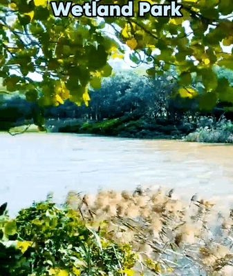 Wuyuanhe Wetland Park: Haikou’s Natural Oxygen Bar video poster