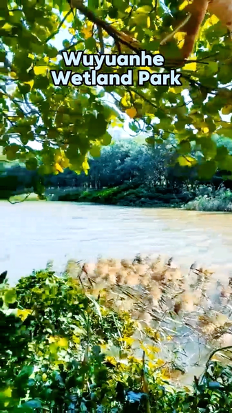 2LVZ8L5U18V1N0SJHGRP - News for amigos, by amigos Wuyuanhe Wetland Park: Haikou’s Natural Oxygen Bar video poster