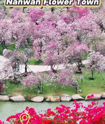 Hainan's Nanwan Flower Town: A Real-Life Monet Garden 🌸 video poster