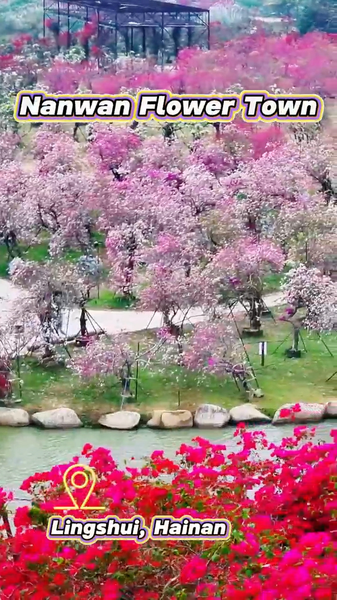 Hainan's Nanwan Flower Town: A Real-Life Monet Garden 🌸 video poster